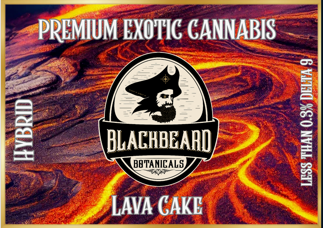 Lava Cake