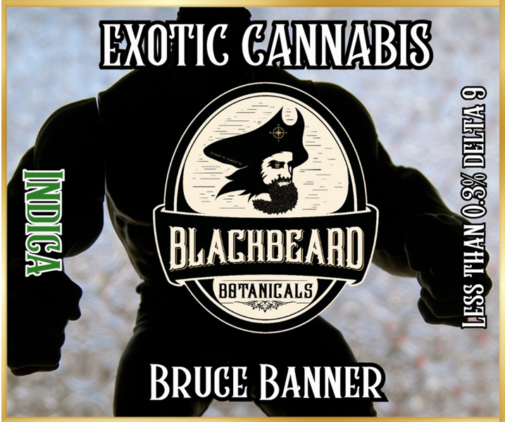 Bruce Banner