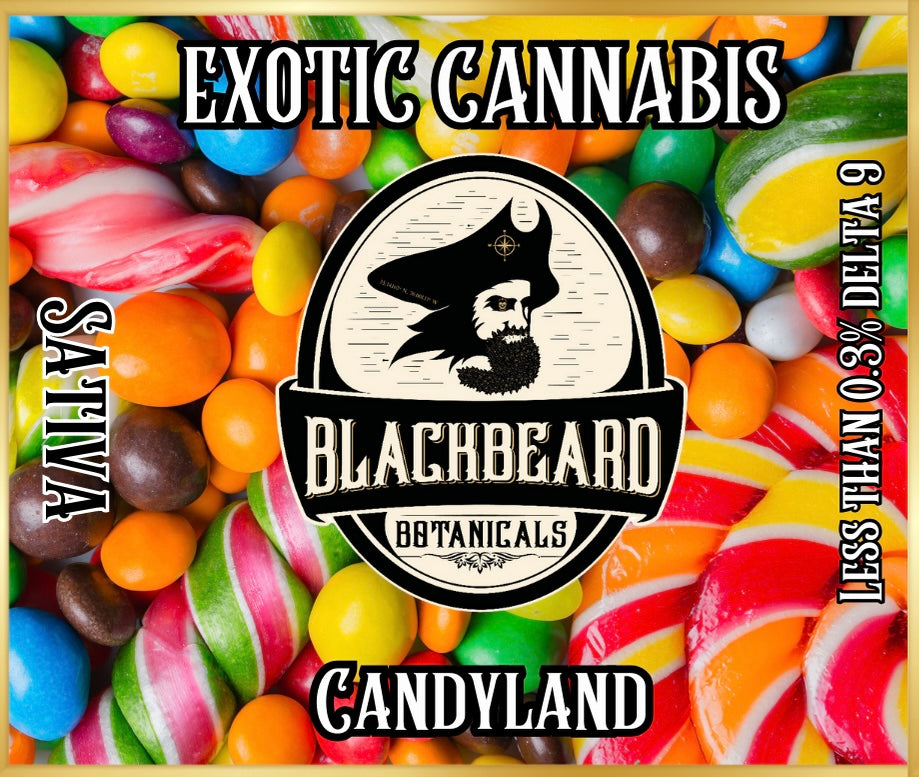 Candyland