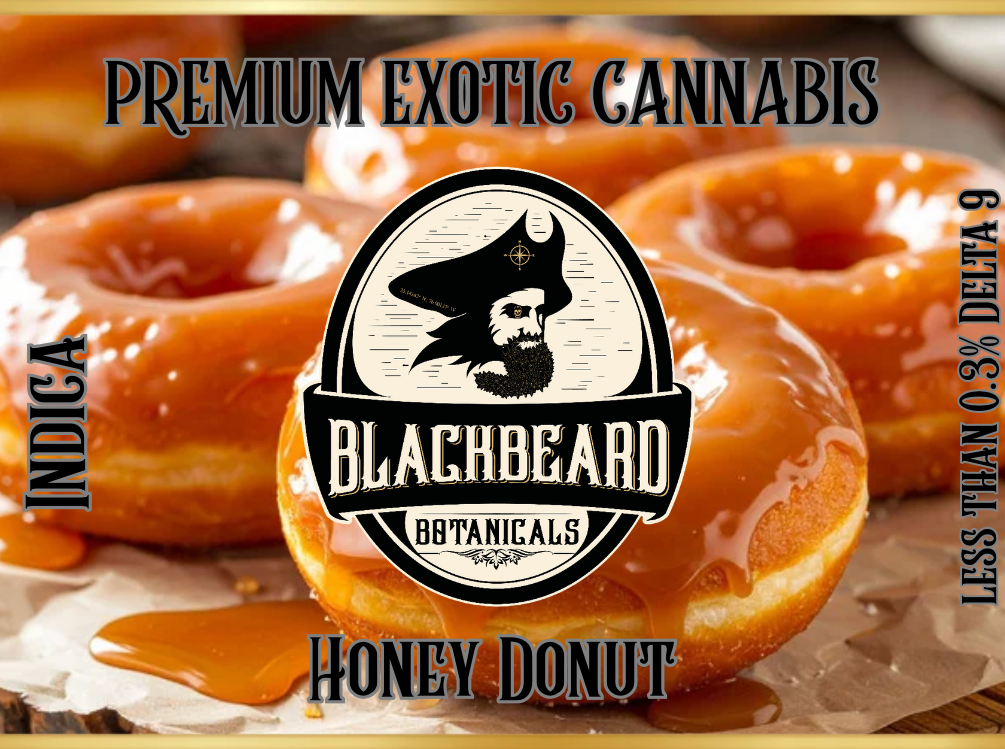 Honey Donut
