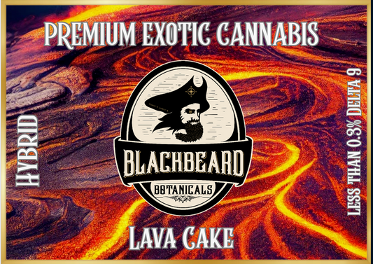 Lava Cake