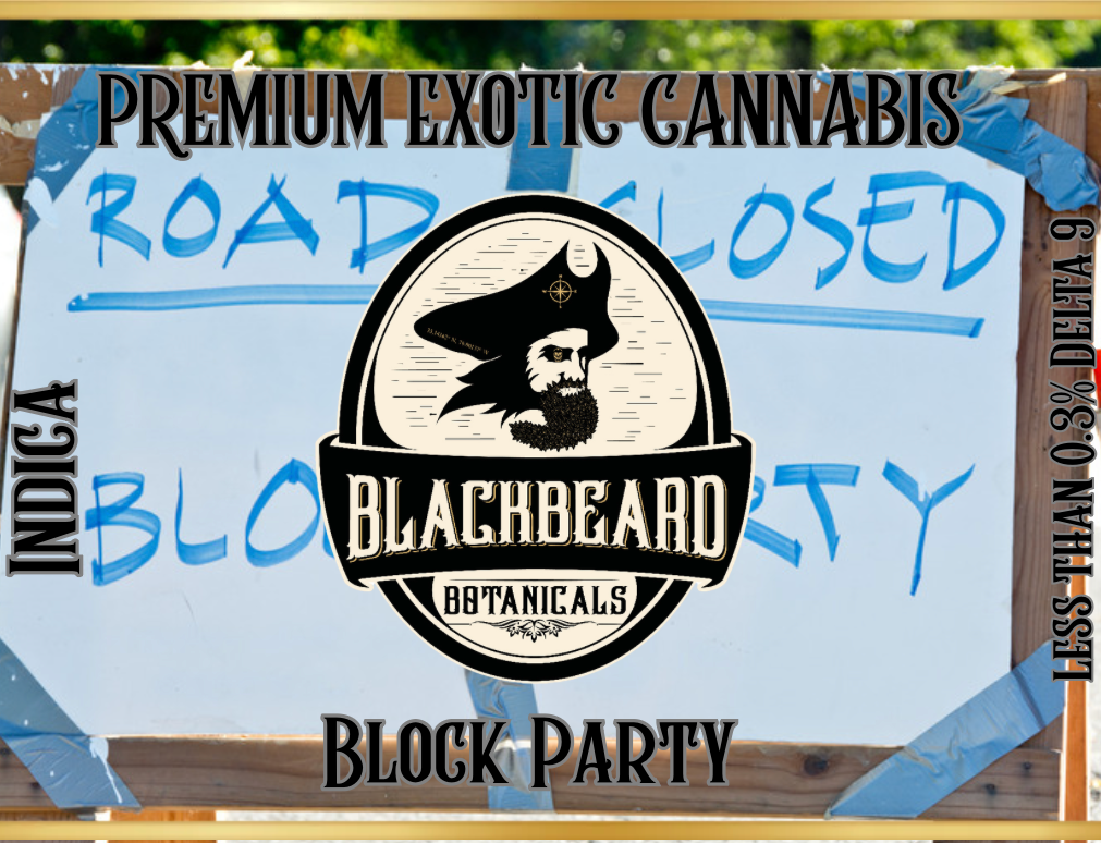 Block Party