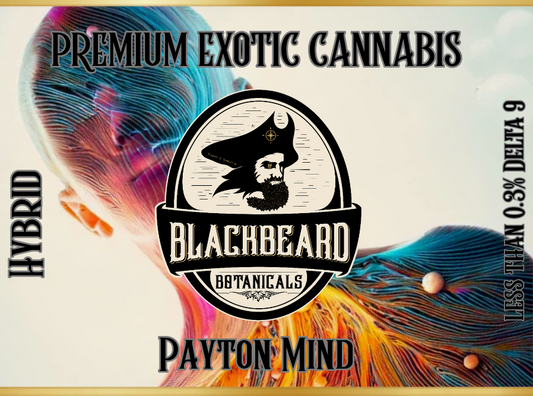 Payton Mind