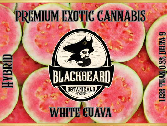 White Guava