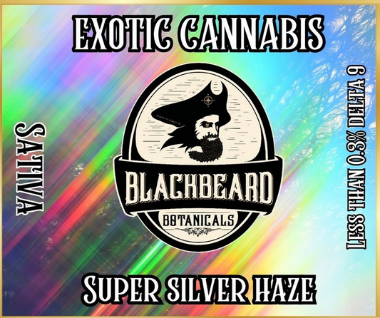 Super Silver Haze
