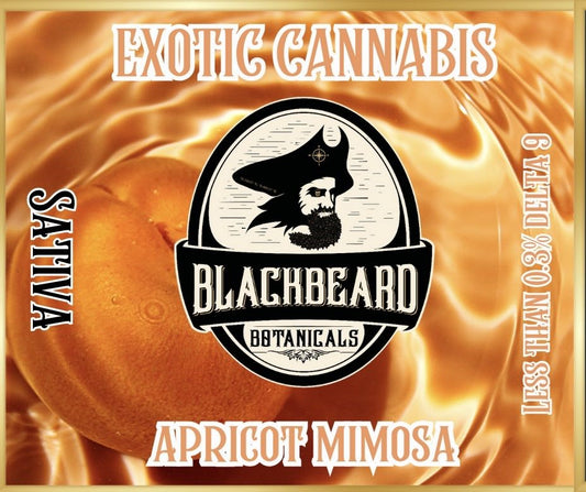 Apricot Mimosa