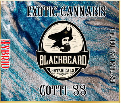 Gotti 33
