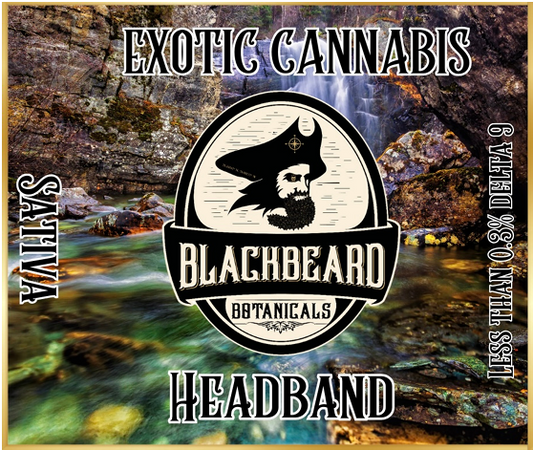 HeadBAND