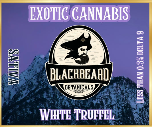 White Truffle